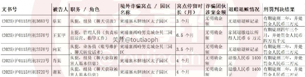 待3个月就判2年 赴电诈园区工作，即使没骗到钱也可能获刑
